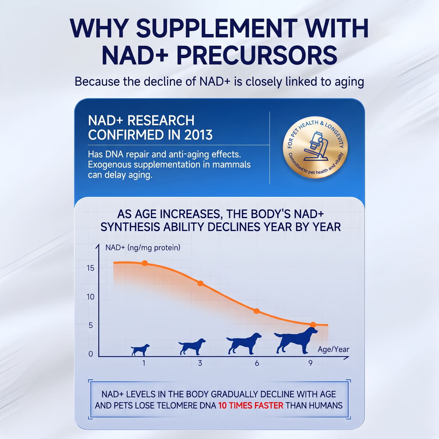 PetVille NAD Taurine Supplement