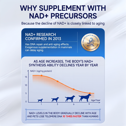 PetVille NAD Taurine Supplement
