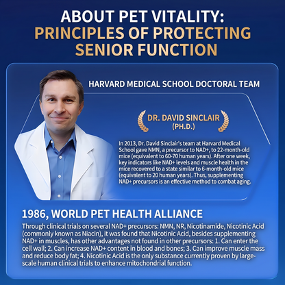 PetVille NAD Taurine Supplement