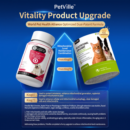 PetVille NAD Taurine Supplement